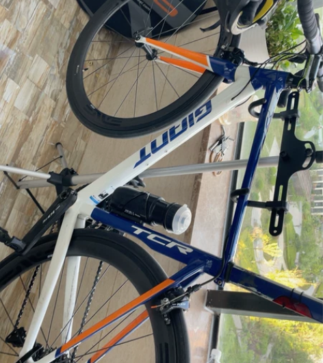 捷安特tcr tcr6300自组别问东西在...