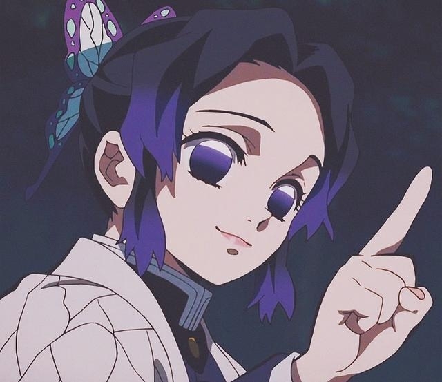 蝴蝶忍cos服全套L码