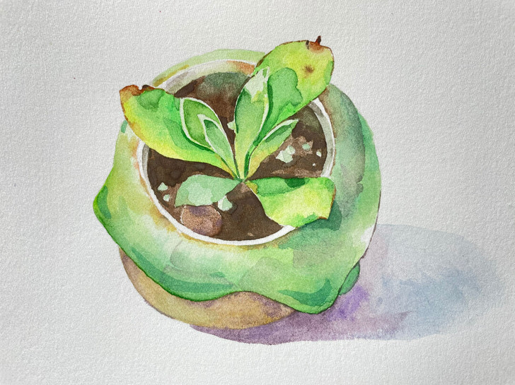 水彩画作品，私人创作，仅此一张。