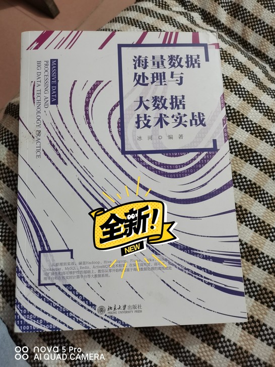 书籍：海量数据处理与大数据实战