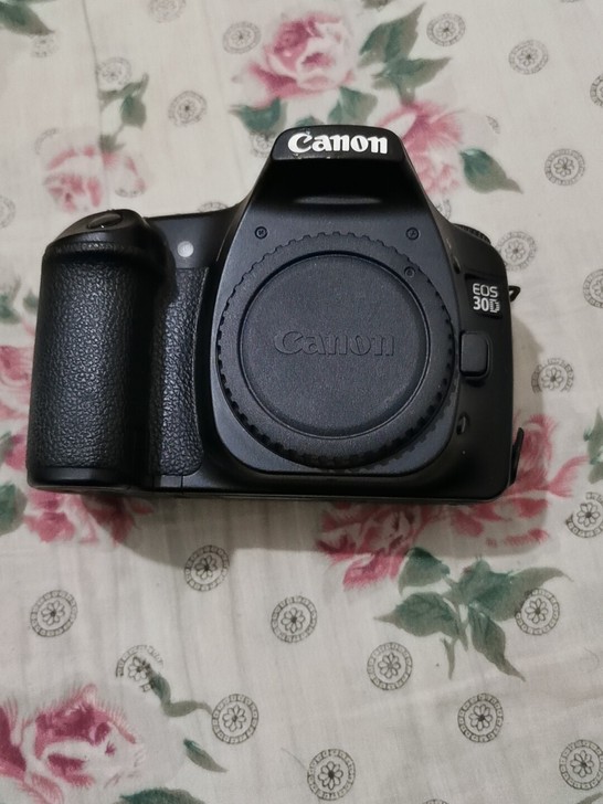 佳能 EOS30D单反相机,85新 闪光...