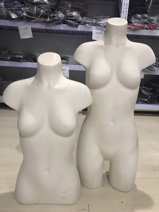 女生半模：高度66公分