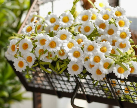 8头仿真小皱菊 装饰家居 插花一枝有8个花...