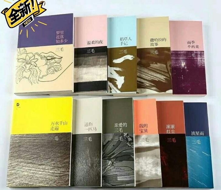 全新 三毛作品全集11册珍藏版撒哈拉的故事...