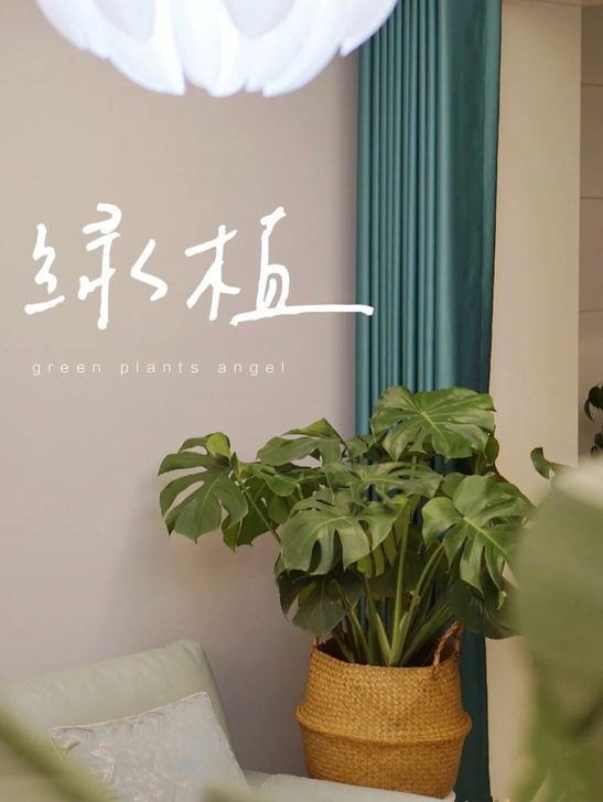 北欧简约装饰草编花盆滕编花篮竹编织花盆花器...