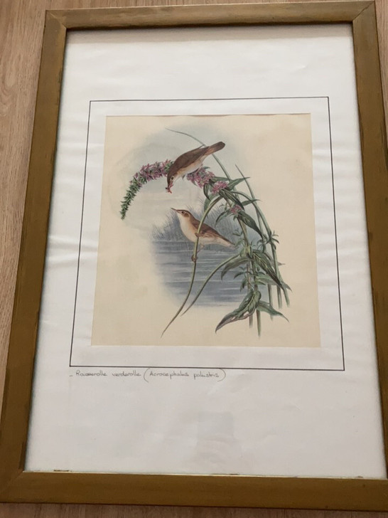 9成新装饰画,尺寸:40.5x56.5cm