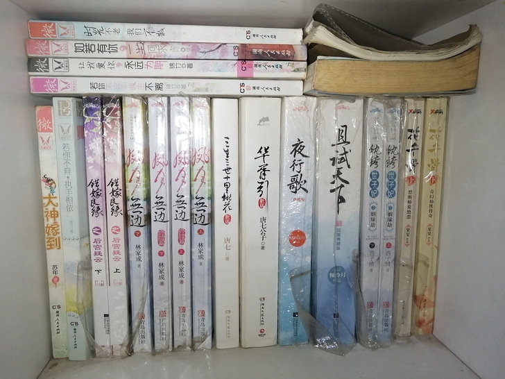 青春文学小说,随缘出