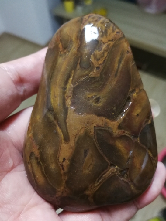 南京雨花石大品木化石8公分化石