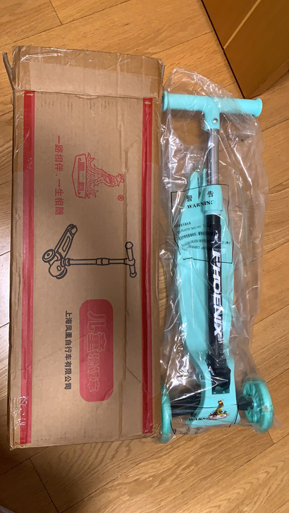 凤凰牌 平衡车 只一层 ...