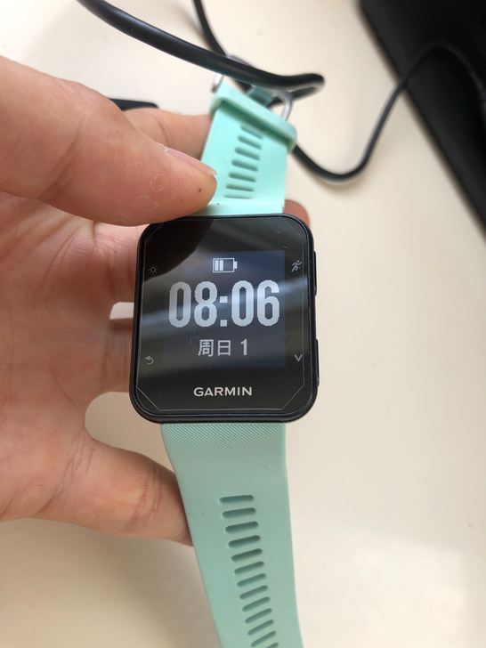 Garmin佳明 Forerunner35...