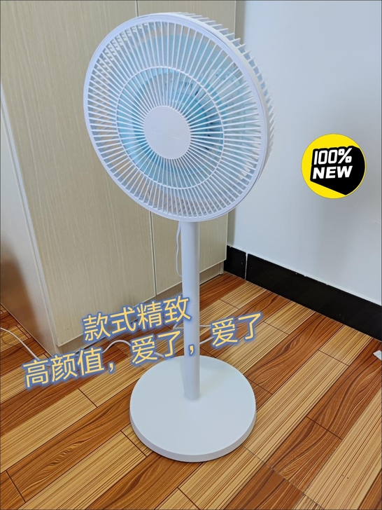 商场拆迁 处理十几个全新 长虹落地扇 65...