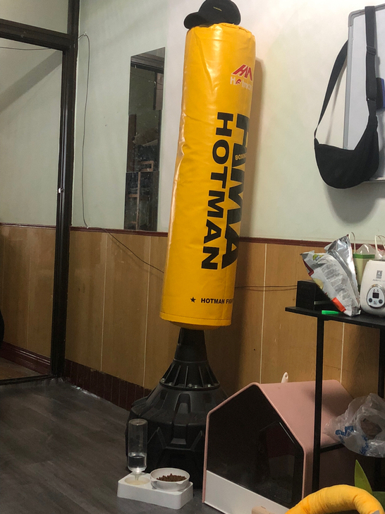 拳击沙包、买来一直放着、也没时间打它。有需...