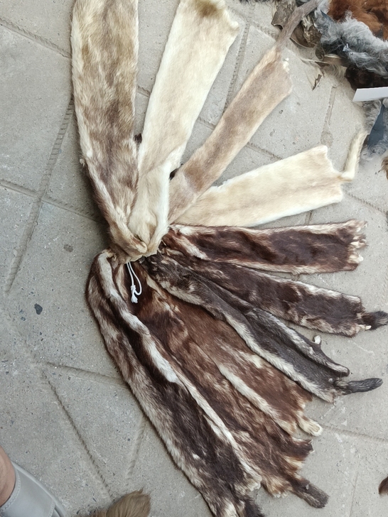 真水貂皮，整张水貂皮，好皮不掉毛板子不坏柔...