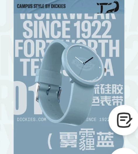 Dickies 手表   150  博主闲...