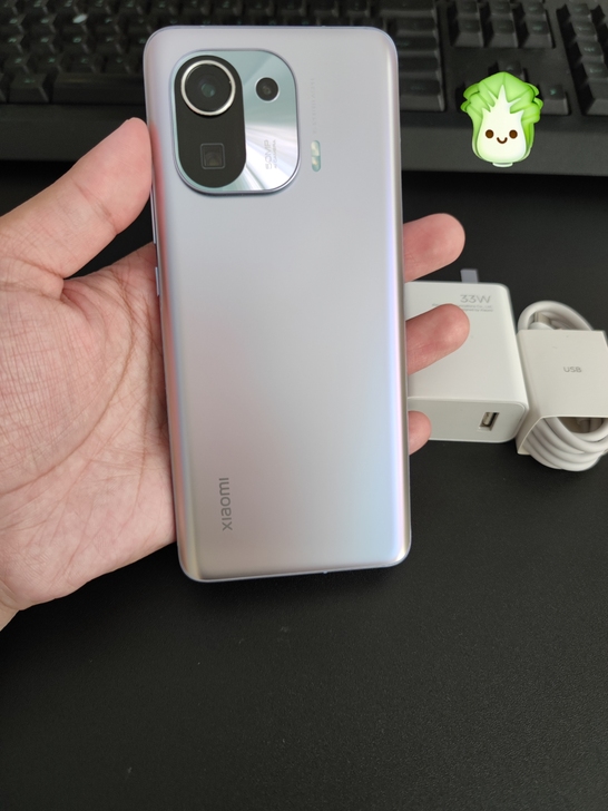 五一购买，98新 小米11Pro 12+2...