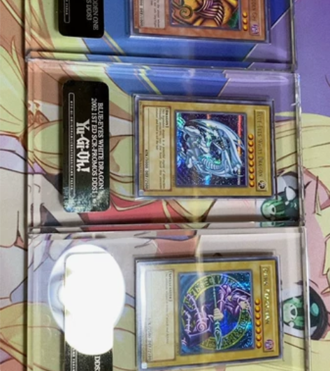 游戏王 tcg dds一套  dds白龙 ...