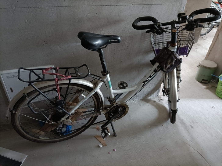 喜德盛旅行自行车 可变速 成色如图
