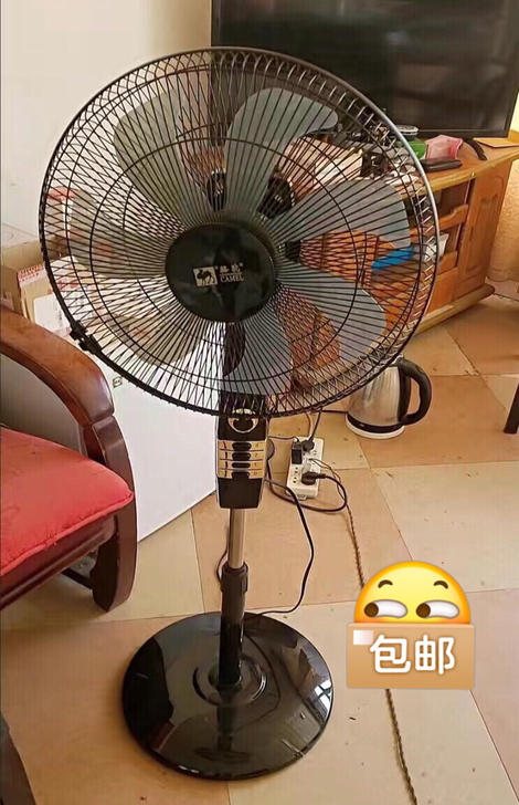 （工厂清 仓全新）亏本出80台骆驼电风扇立...