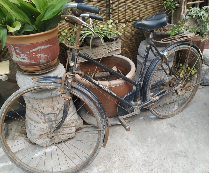 老式凤凰自行车 复古 侘寂 陈设