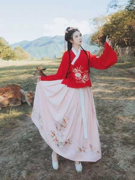 芸兰阁 桃花鱼 秋冬汉服袄裙明制琵琶袖日常...