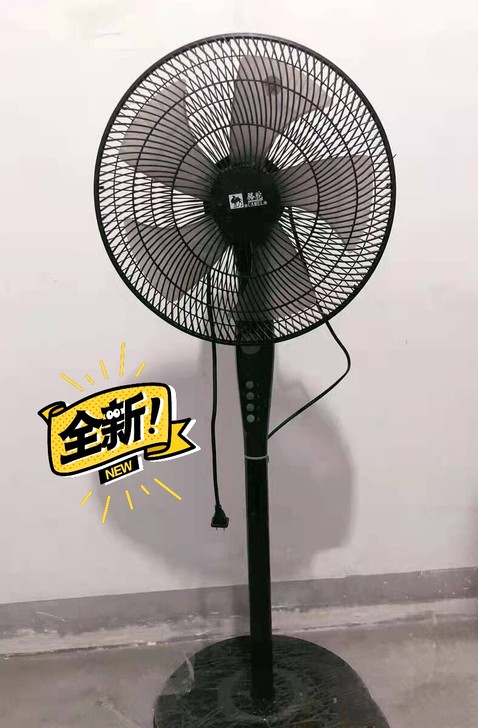 搬家带不走，便宜处理全新落地扇，骆驼电风扇...