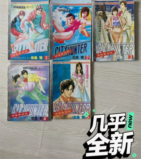 侠探寒羽良城市猎人，品相完好，包邮不退不换...