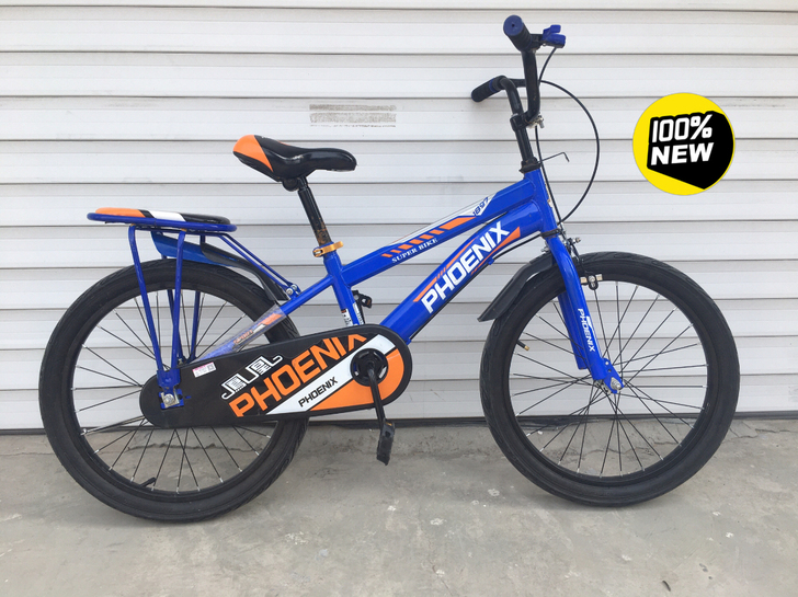 全新/凤凰品牌/20寸/248出/东湖上城...