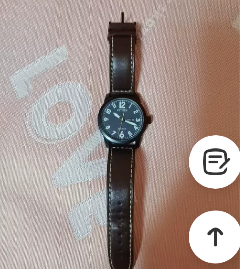 西铁城BM8478-01L，京东618买的...