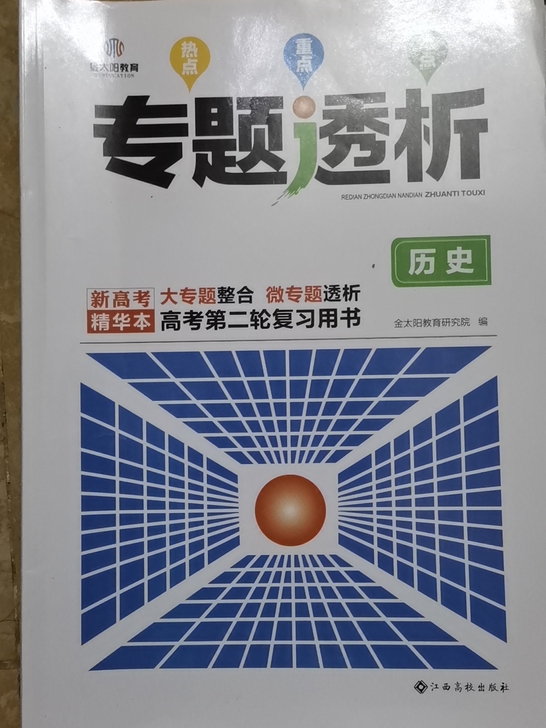 高考复习 历史专题解析