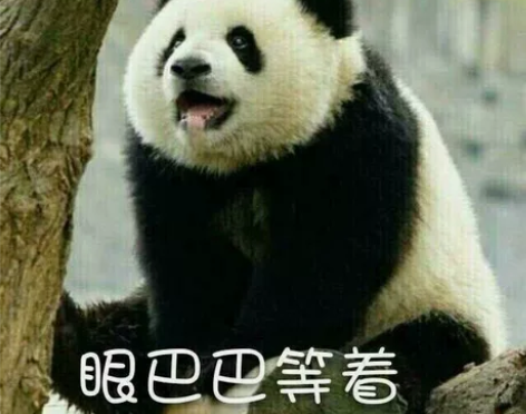 【求购】网球王子 不二周助求收司泽院蓝太太...