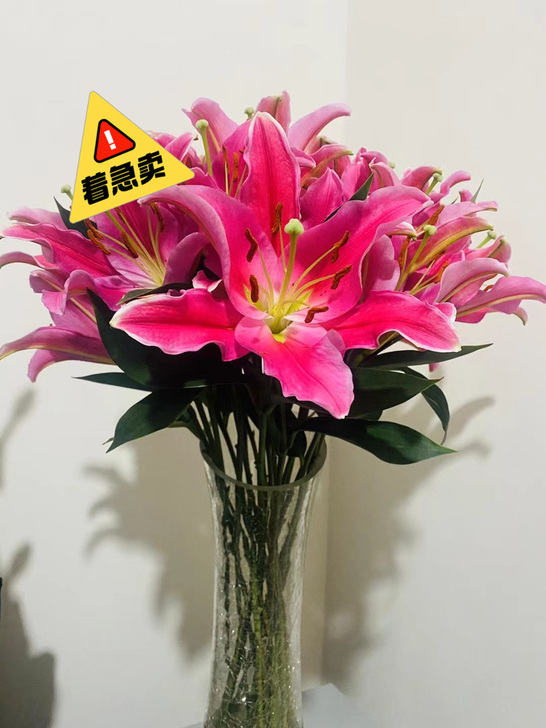 超市买的花瓶50cm，插花超好看性价比超高...