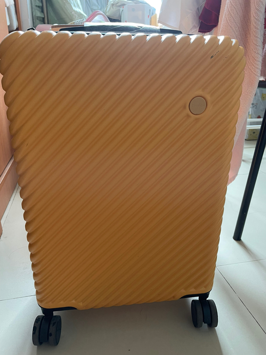 不莱玫行李箱20寸可登机 现在不常出差转手...