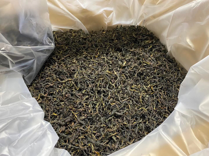 凤凰单枞 宋种 芝兰香 姜花香 高山老枞