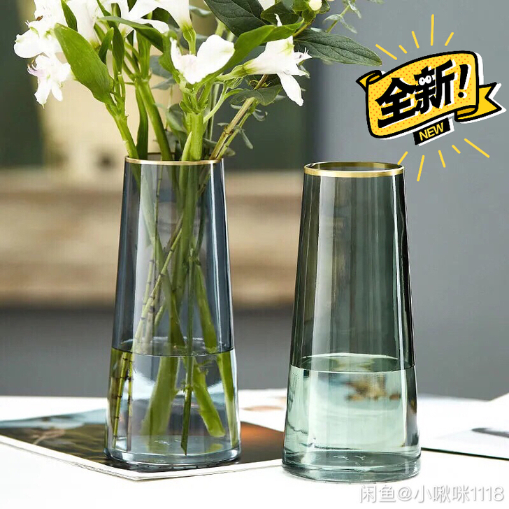 北欧ins玻璃花瓶透明水养富贵竹干鲜花百合...