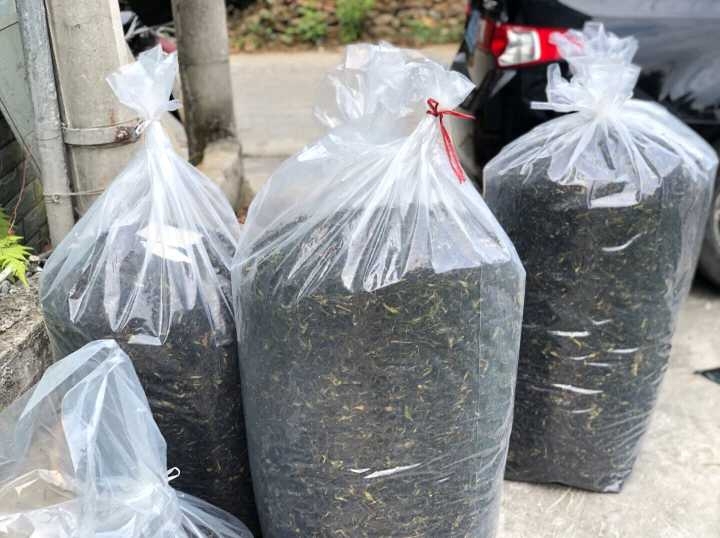 凤凰单枞，头春鸭屎香，现已烤火加工完成。