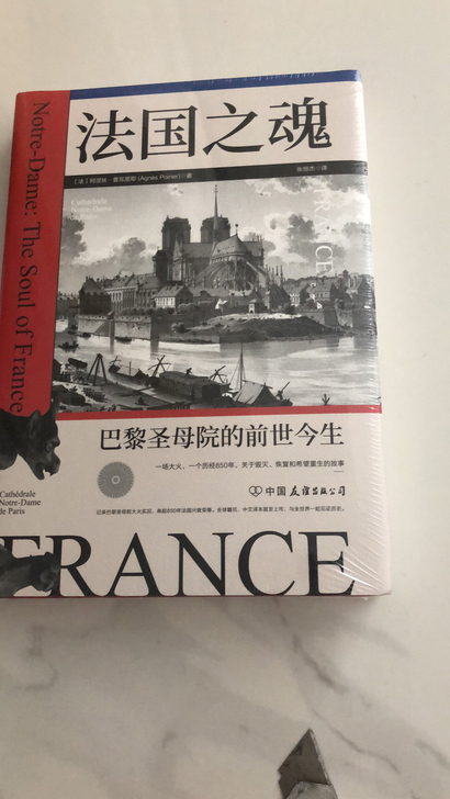 【全新正版】法国之魂：巴黎圣母院的前世今生...