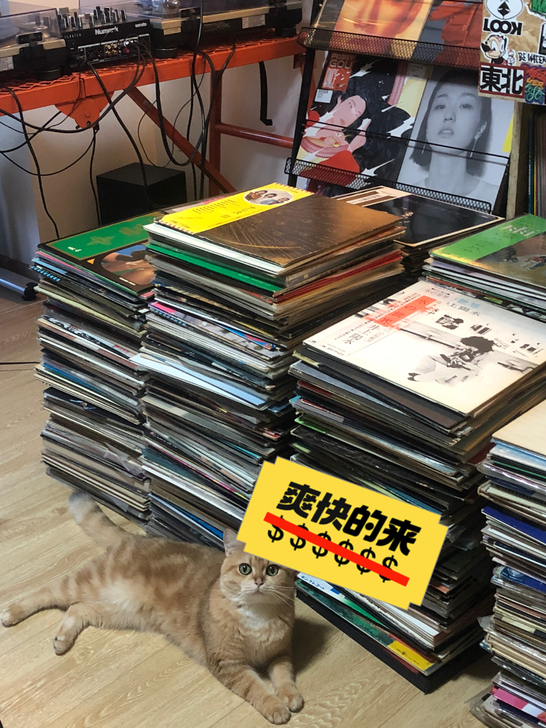 12寸、7寸黑胶唱片 ；CD盲盒批