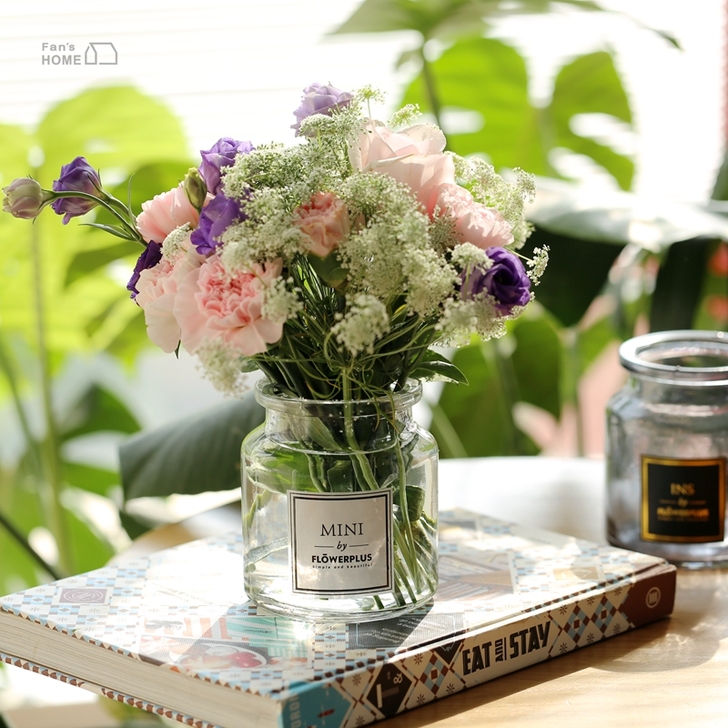 Fan home 北欧式玻璃透明花瓶家居客...
