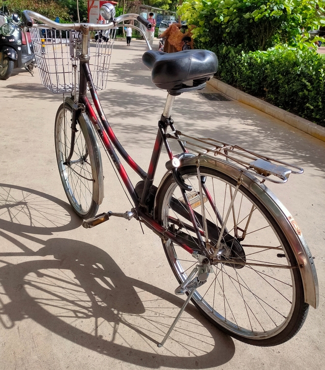 24凤凰女士自行车