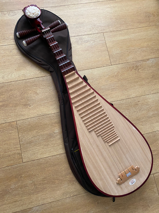 全新成人琵琶燕郊自提