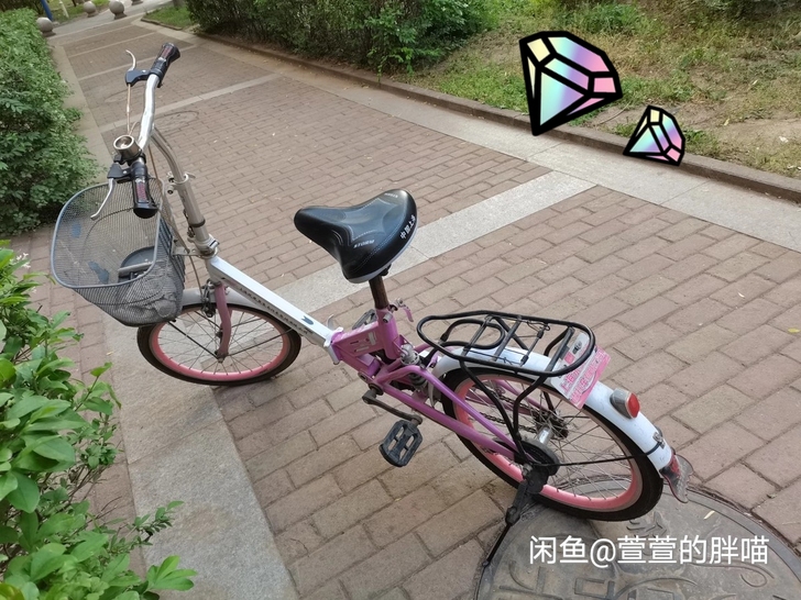 凤凰晟象自行车,上大学时候骑的