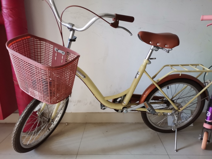 凤凰自行车20寸，95成新，280转，回龙...