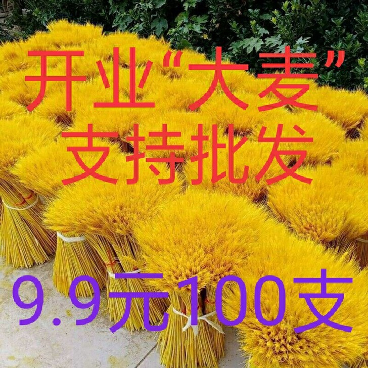 【6.18特卖】麦穗干花开业花篮送礼花束田...