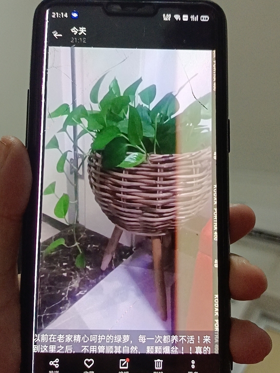 花盆，一堆柳编花篮，都可以直接种植植物，特...