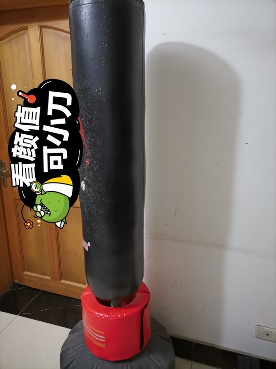 沙袋，拳击用的，下面是有个储水的坐子跟吸盘...