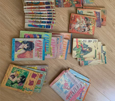 机器猫,寒羽良,猫眼,乱马。40本左右,所...