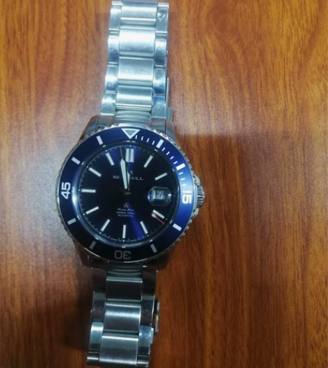 海鸥手表，海洋之星，非陶瓷款，戴了两年，表...