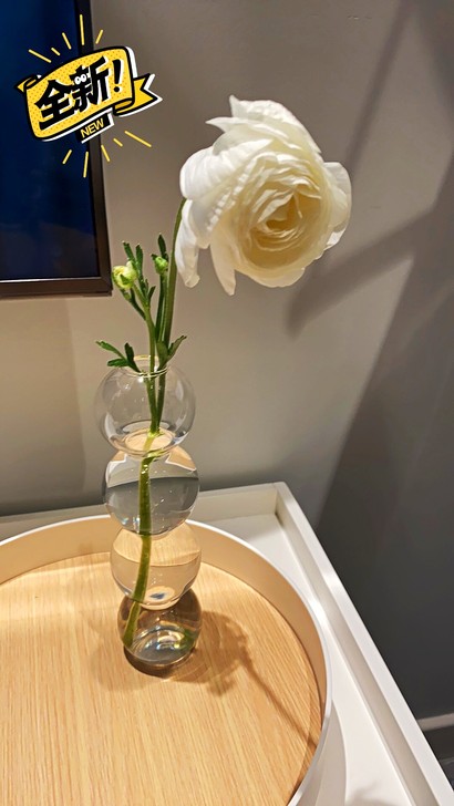 韩国透明球球玻璃花瓶北欧ins轻奢水培插花...