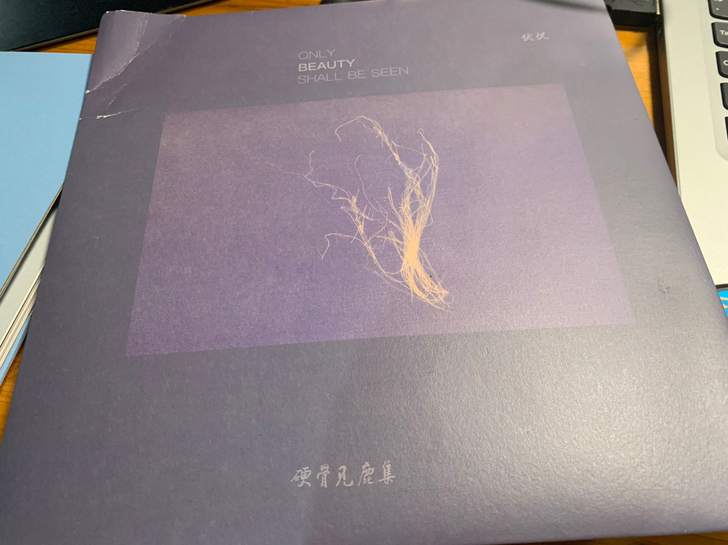 伏仪 专辑CD 硬骨见鹿集