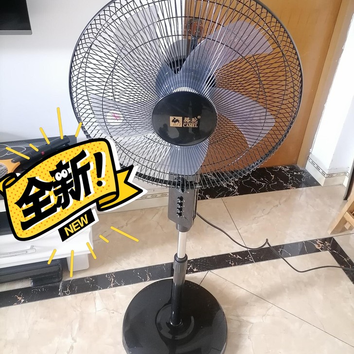 闲置转让16寸 骆驼落地扇  电风扇家用立...